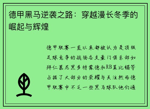 德甲黑马逆袭之路：穿越漫长冬季的崛起与辉煌