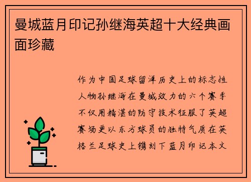 曼城蓝月印记孙继海英超十大经典画面珍藏